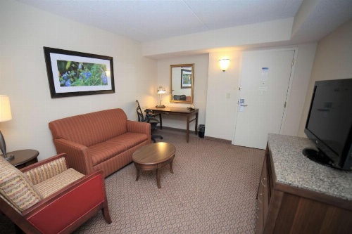 Hilton Garden Inn Elmira/Corning image 33